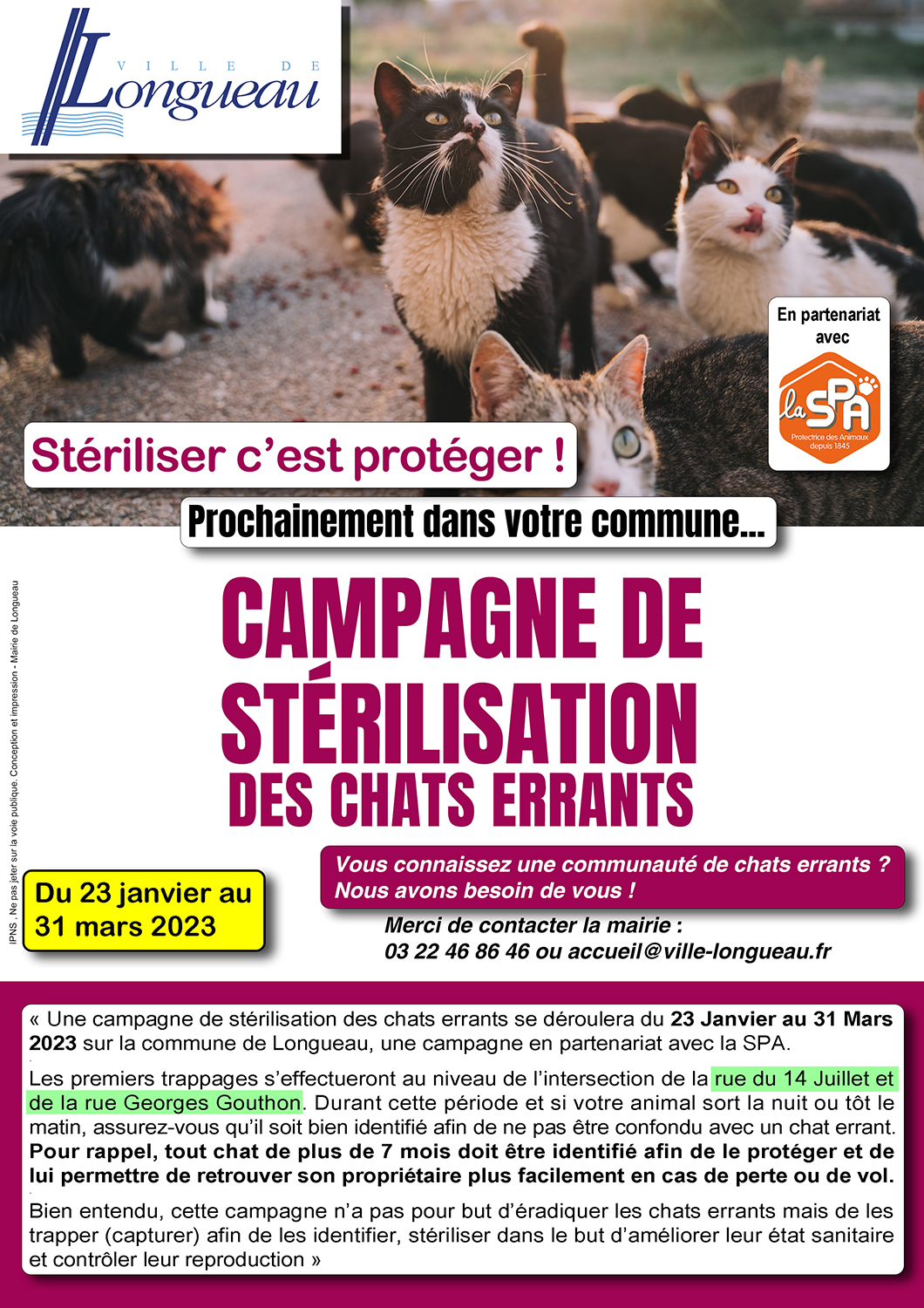 Campagne de stérilisation des chats errants Ville de Longueau